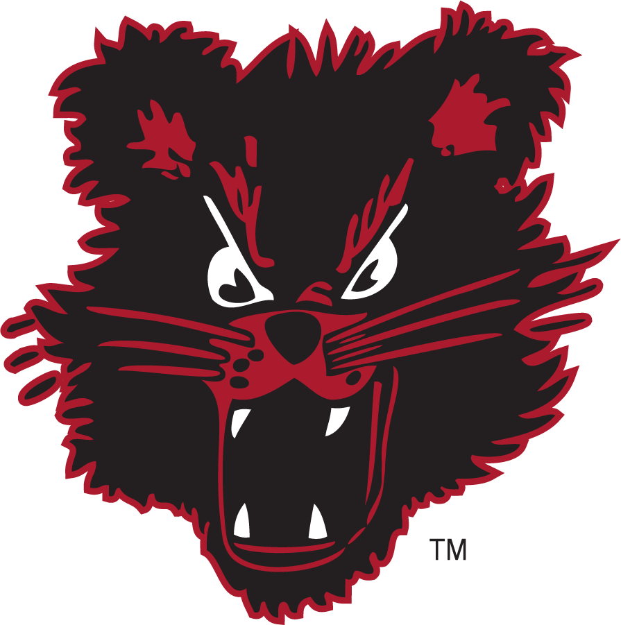 Cincinnati Bearcats 1983-1988 Secondary Logo diy iron on heat transfer